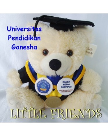 Boneka Wisuda Universitas Pendidikan Ganesha - Guru (25 cm)